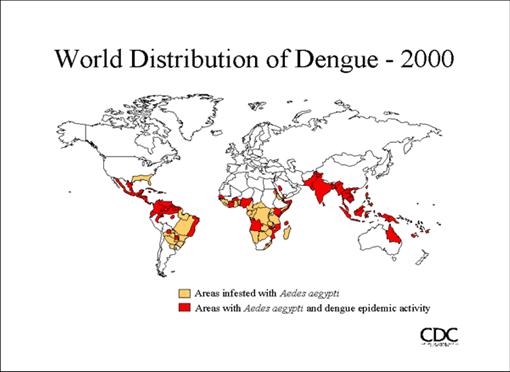 \\wpro.who.int\WPRO Shares\Shared Folders\Dcc\Mvp\_SF\Dengue\Dengue in the world\World Distribution of Dengue 2000 - CDC Division of Vector-Borne Infectious Diseases (DVBID)_files\dengdis2.gif