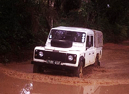MRC　ガンビア研究所のフィールド研究活動．雨季にジャングルの中に設置されたフィールドへ向かう．
（1994年　～　1996年）