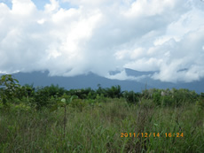 国境の山（山の向こう側はインドネシア）