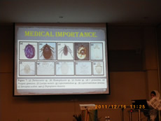 A girl student presented ecto-parasites.