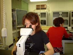 schistosoma1