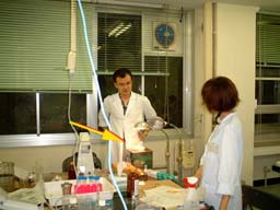 schistosoma4