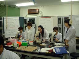 schistosoma6