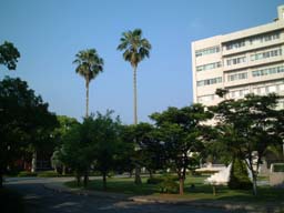 school.of.med.