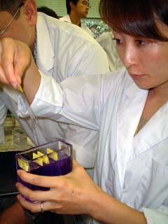 pneumonia07