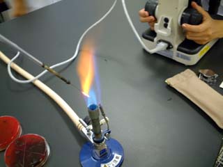 exp.apparatus