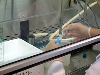 viruscell07-1