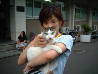 cat1