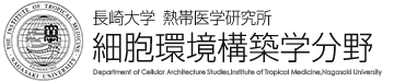 長崎大学 熱帯医学研究所 細胞環境構築学分野