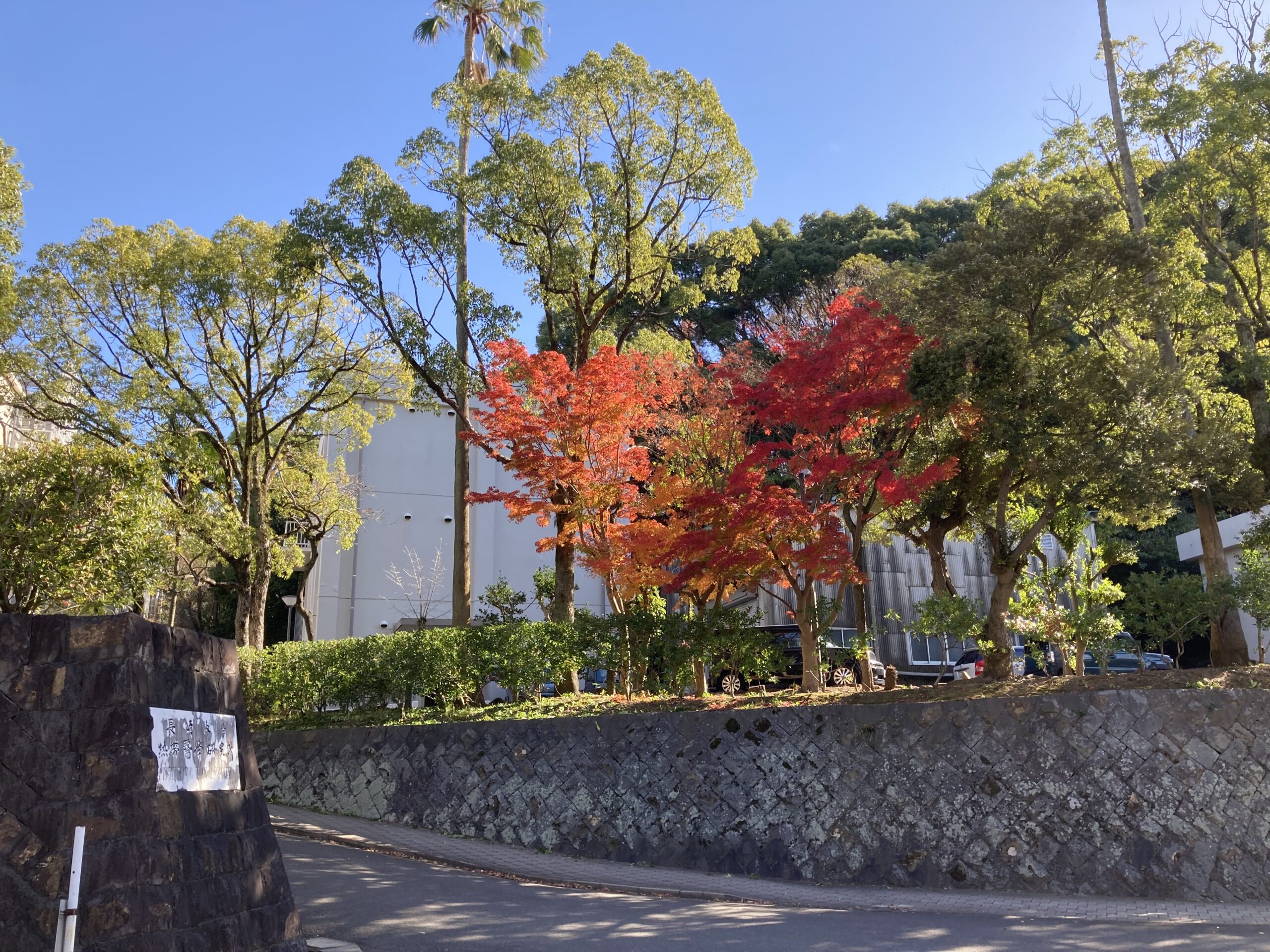 熱帯医学研究所・共同研究室