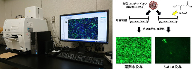 新規抗ウイルス薬の探索・開発