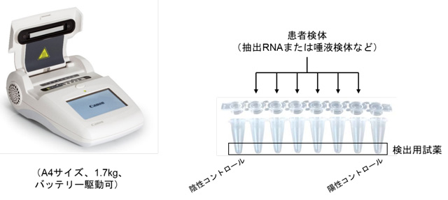 ウイルス検出法の開発