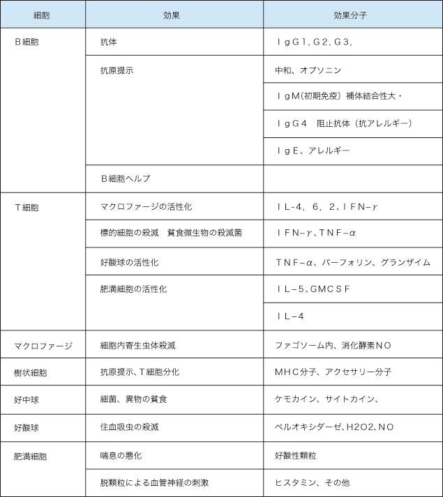  表２. エフェクター細胞による免疫効果