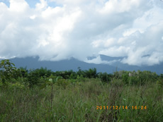 Moantain on the border between Malaysia and Indonesia.