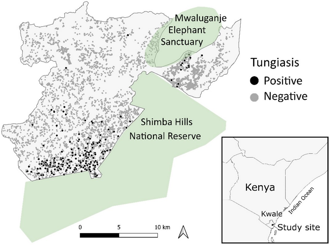 A paper on Tungiasis in Kenya was published.