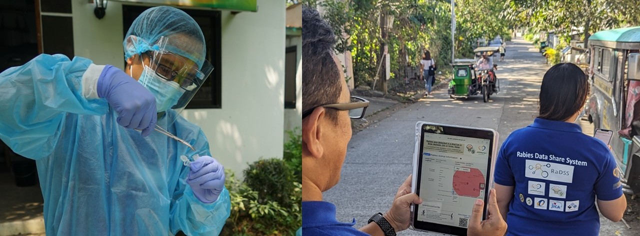 現場から政策へ―齊藤准教授のJICA Policy Briefが示す新しい狂犬病対策