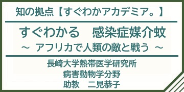 すぐわかアカデミア