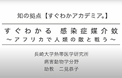 すぐわかる感染症媒介蚊