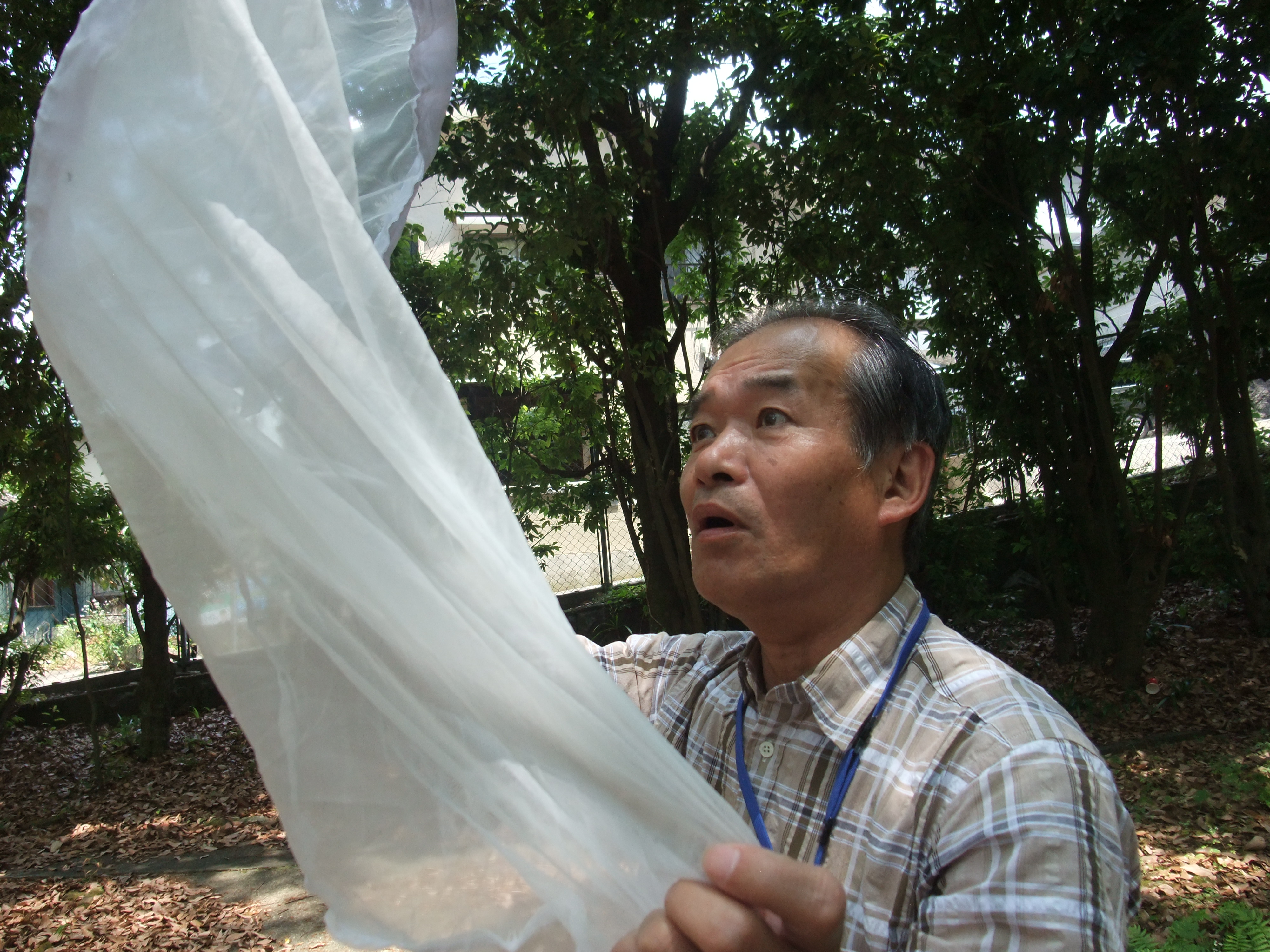 野外実習