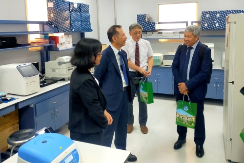Inside the BSL2 Facility