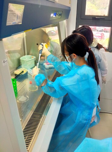 実験（海水：ピペットにてサンプル採取）