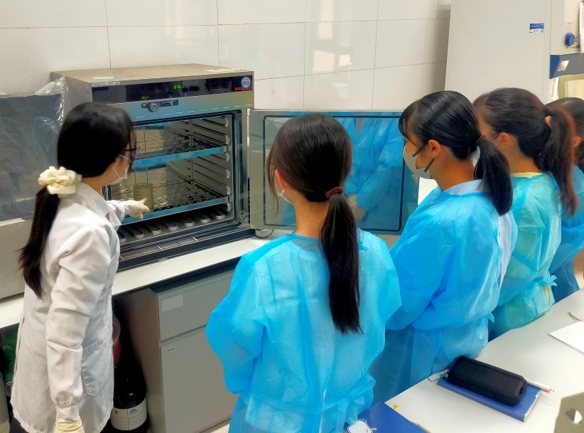 実験（保温器での細胞培養）